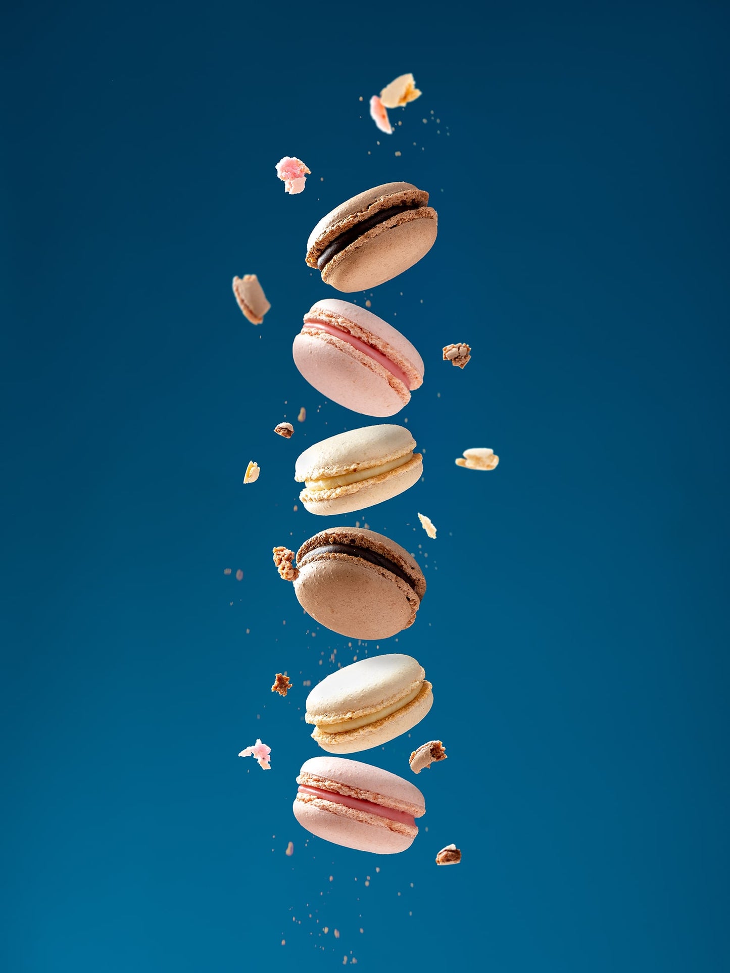 Rose Macaron